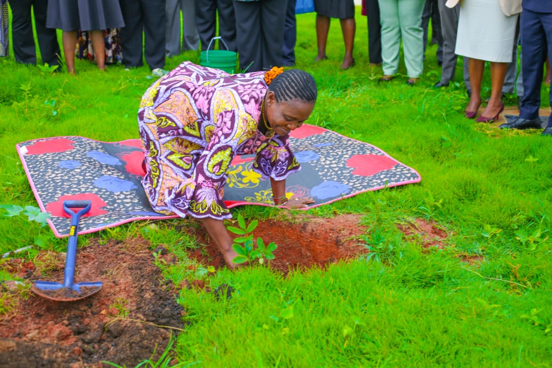 MoCDGWSG slide photo