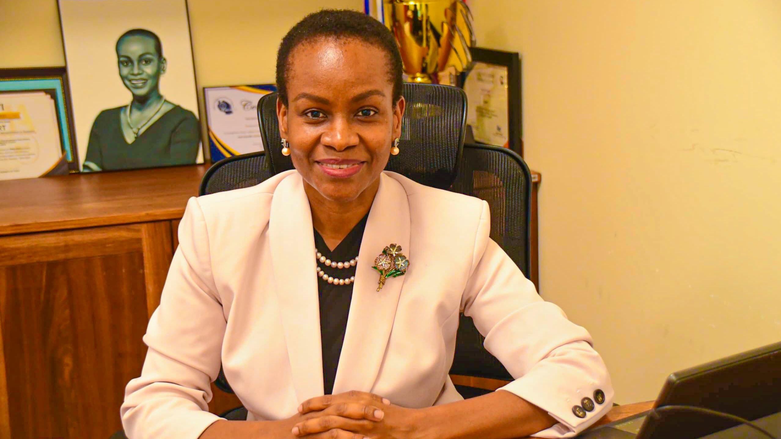 MKURUGENZI CCBRT ATOA USHAURI KWA MASHIRIKA YASIYO YA KISERIKALI.