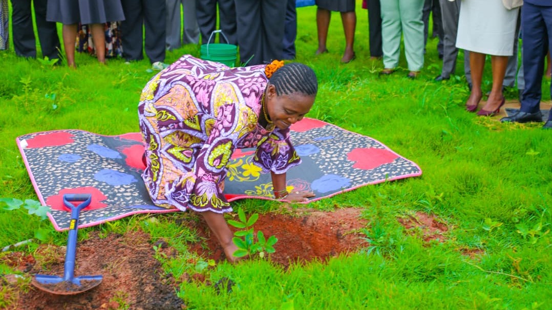 WAZIRI GWAJIMA AAGIZA WIZARA KUENDELEZA AGENDA YA RAIS SAMIA KUPANDA MITI