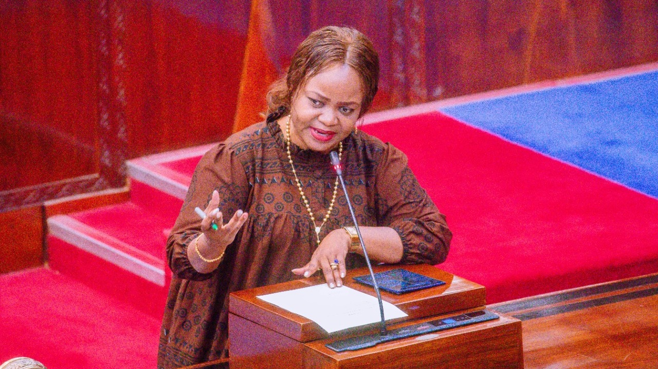 MAHUNDI: SERIKALI KUENDELEA KUIMARISHA VIKUNDI NA MIKOPO KWA WANAWAKE