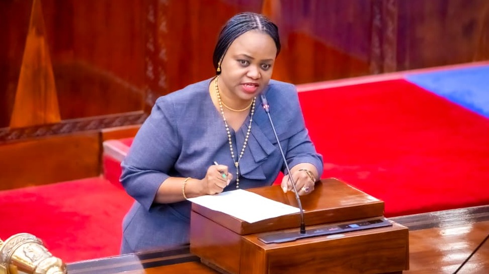 SERIKALI YAHAKIKISHA MAZINGIRA BORA KATIKA MAKAZI YA WATOTO NCHINI.